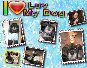 Personal Unique Gifts -- Photo Posters- I luv my dog -lainegennadesigns