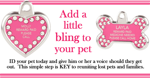 Diamond Pet Tags -LAFPOLI