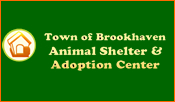 Brookhaven Animal Shelter and Adoption center