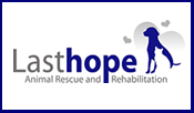 Last Hope Animal Rescue