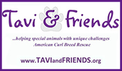 Tavi and Friends