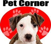  Pet Corner-LAFPOLI - Lost And Found Pets Of Long Island 