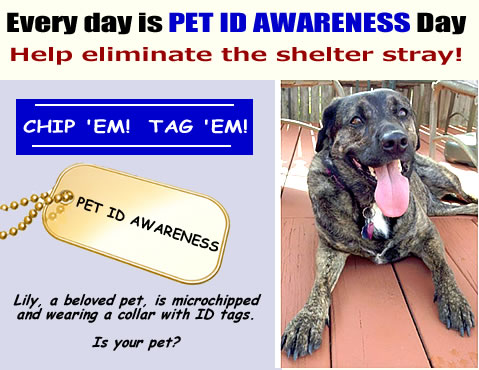 Pet ID Awareness!  Chip 'em  Tag 'em!  - LAFPOLI