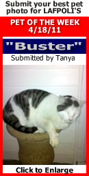 Pet of the Week--Lea