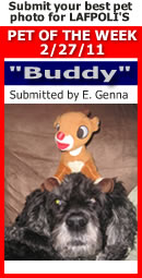 LAFPOLI Pet of the WeeK- Buddy 2-27-11