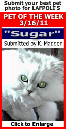 Sugar 3-16-11