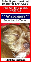 LAFPOLI PET OF THE WEEK 4-27-11--VIXEN