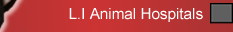 Long Island Animal Hospitals and Vets