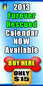 Shop at Barnes & Noble through the LAFPOLI website & proceeds from your purchase will go to HELP LAFPOLI!